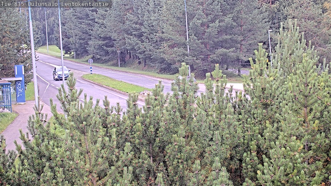 c1255701-1788249792.jpg