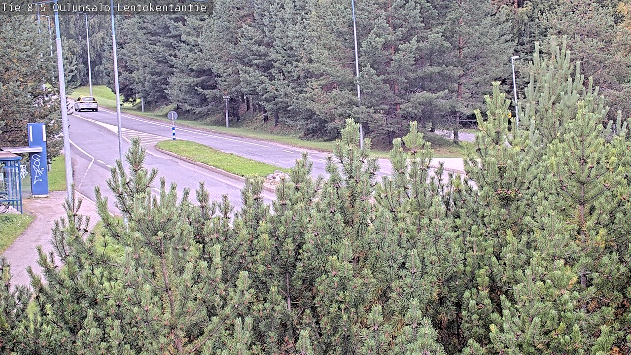 c1255701-1788257001.jpg