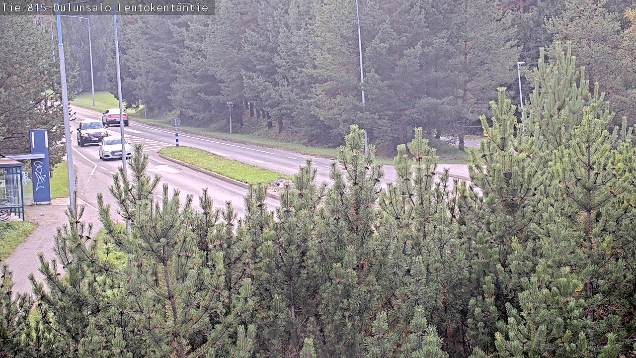 c1255701-1788282161.jpg