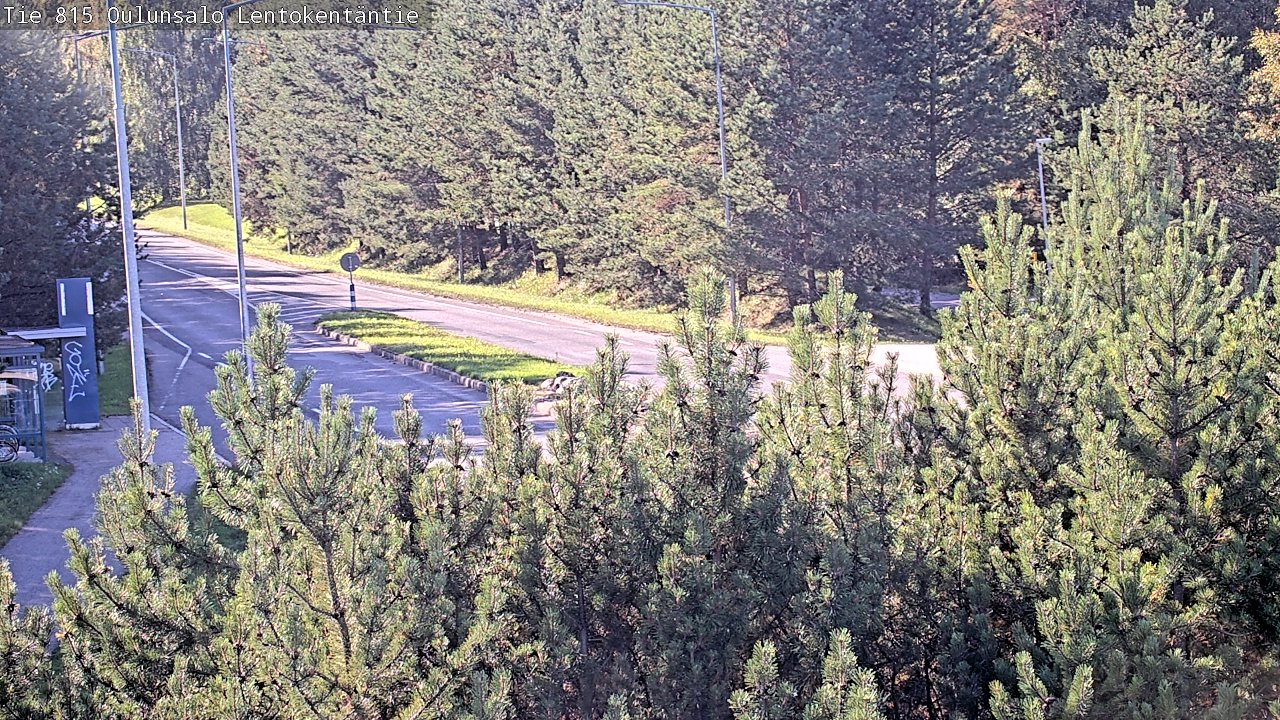 c1255701-1788357740.jpg