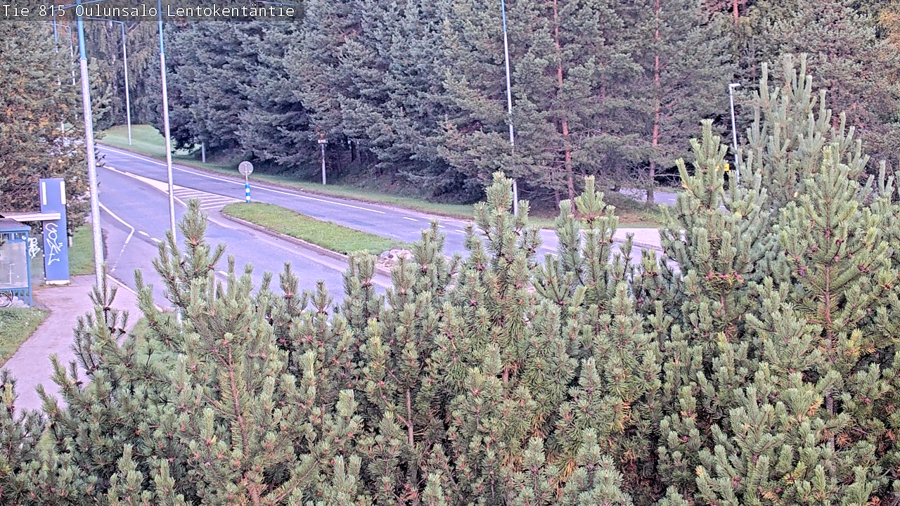 c1255701-1788411800.jpg
