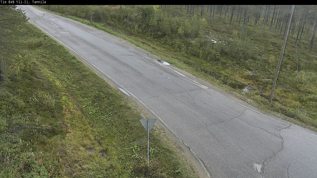c1254504-1788267846.jpg