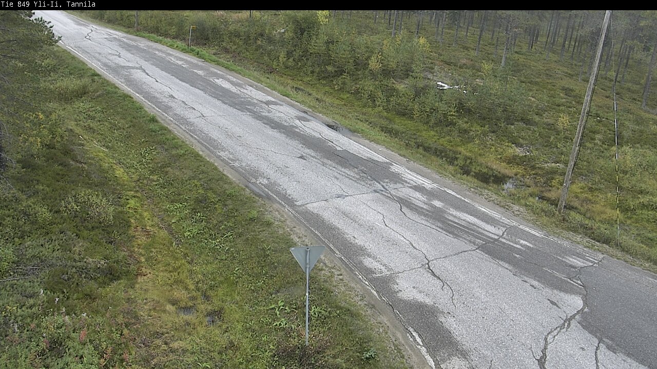 c1254504-1788271288.jpg