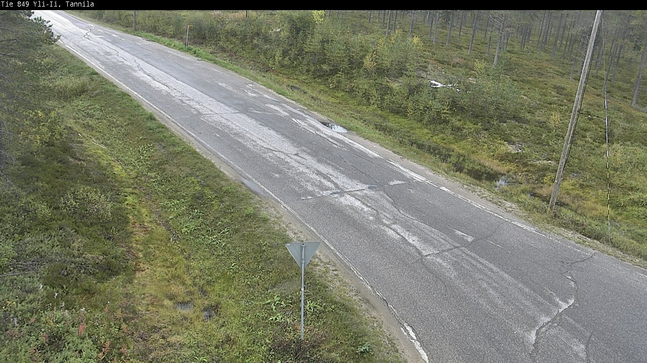 c1254504-1788361360.jpg