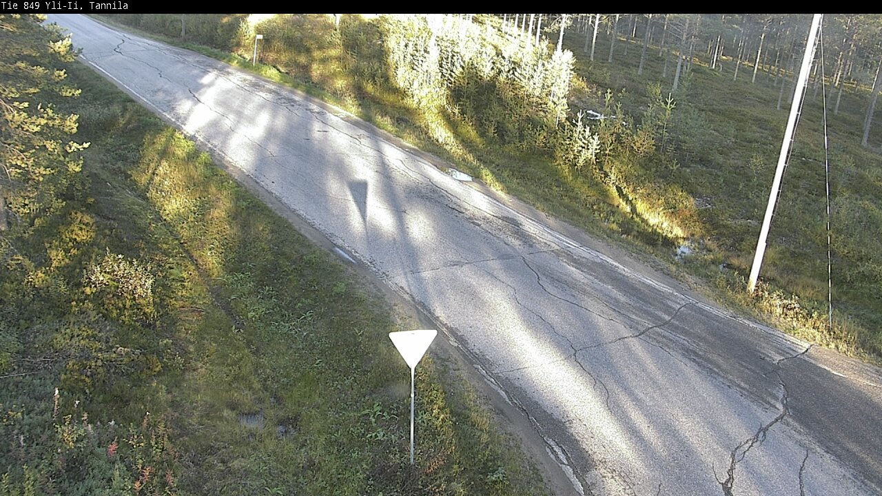 c1254504-1788372197.jpg