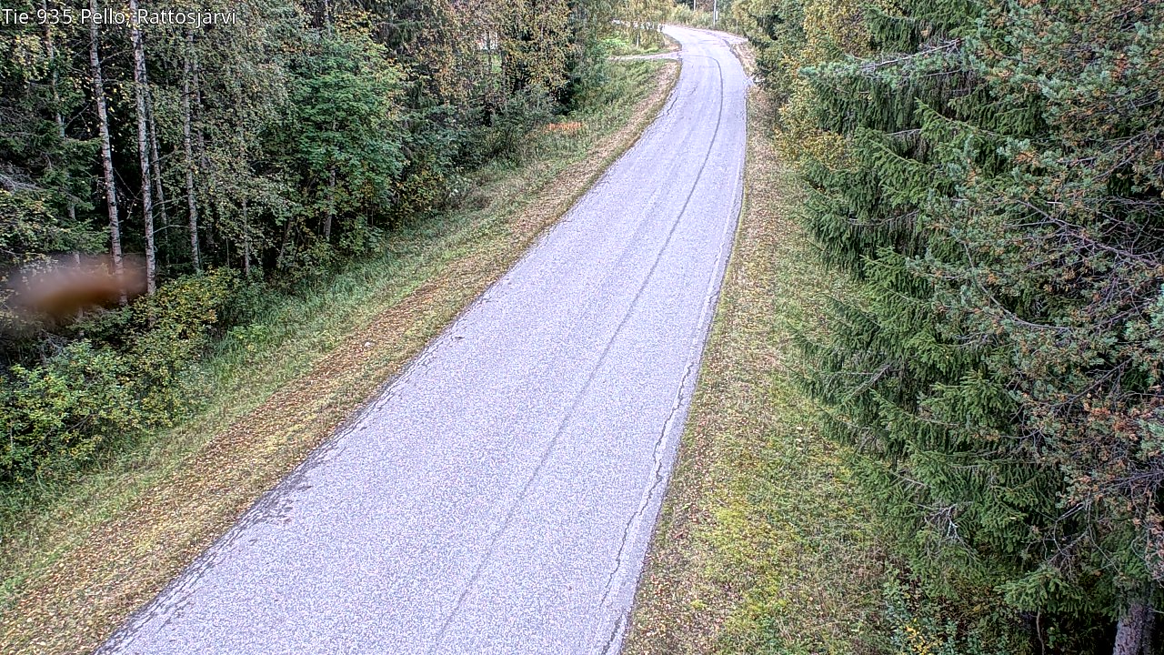 c1453802-1788256994.jpg