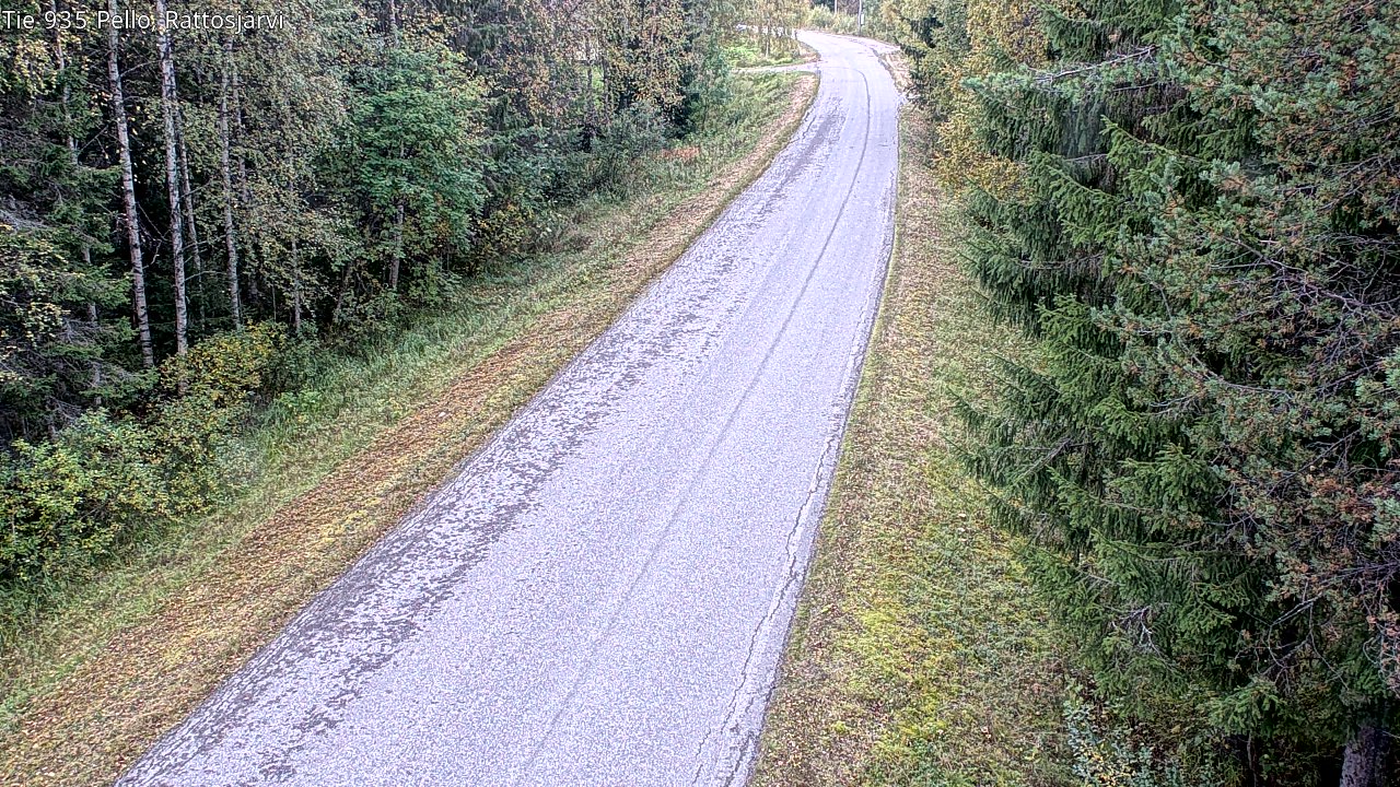 c1453802-1788361358.jpg