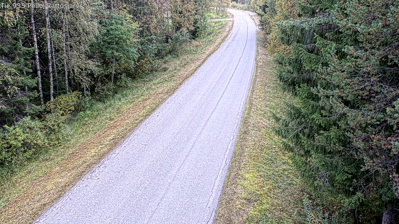 c1453802-1788368514.jpg
