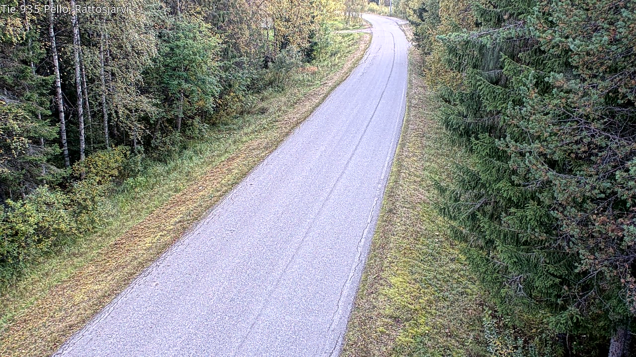 c1453802-1788372196.jpg