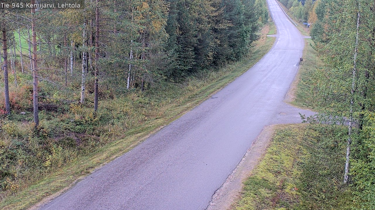c1456601-1788289352.jpg