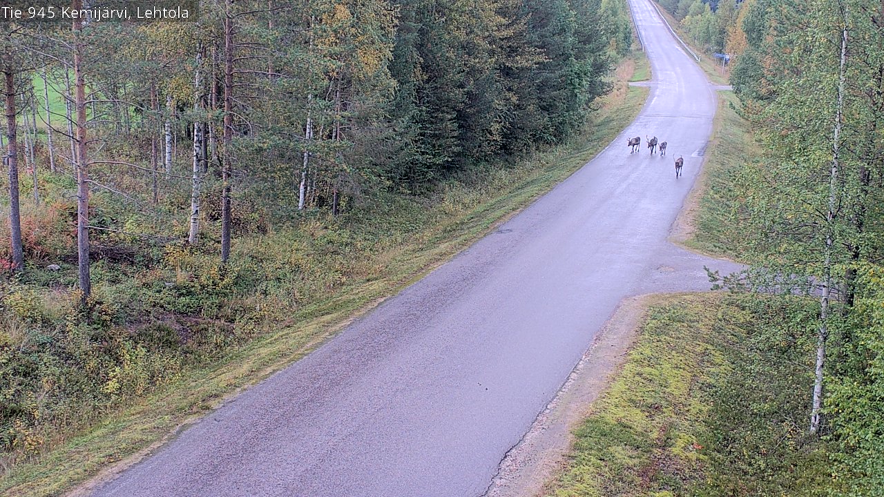 c1456602-1788289352.jpg