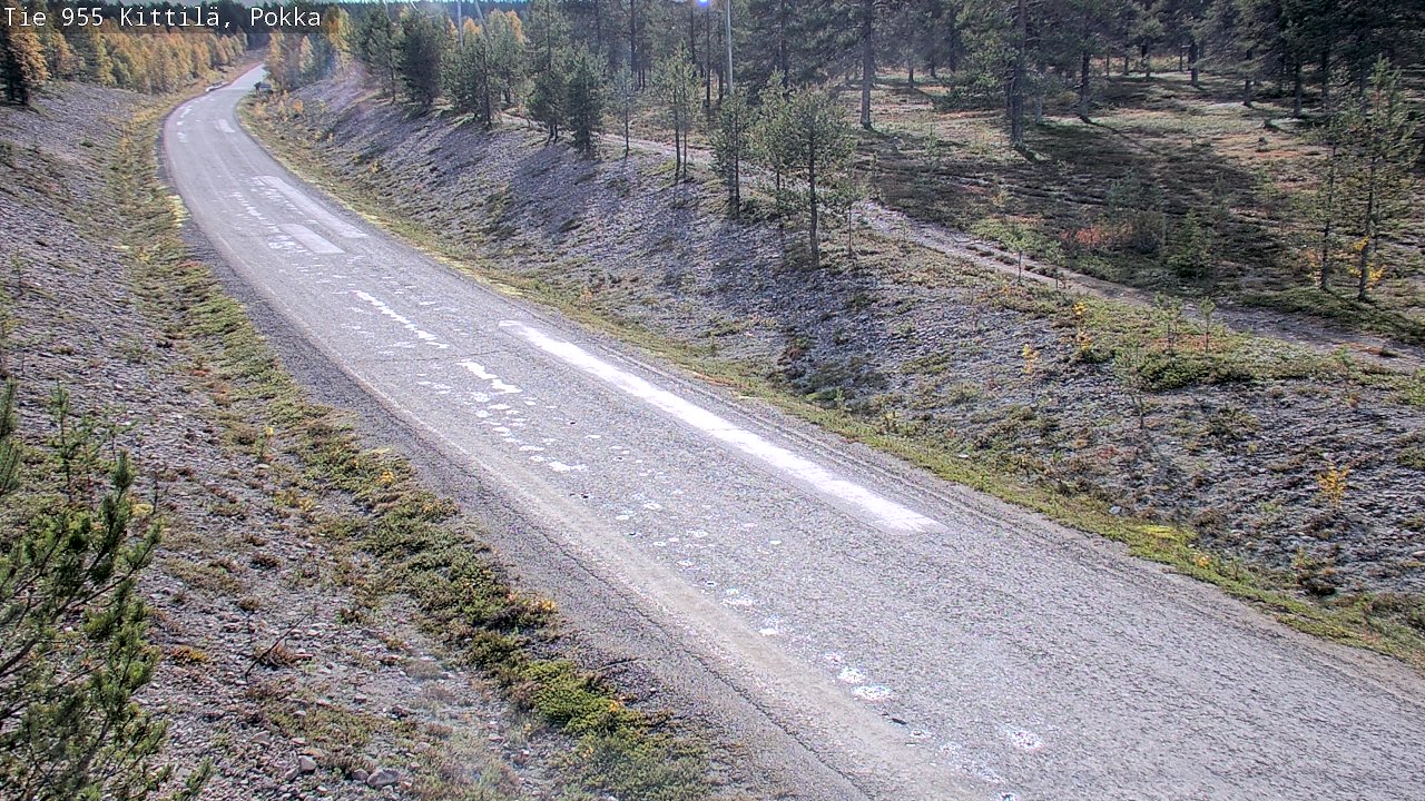 c1456502-1788361355.jpg