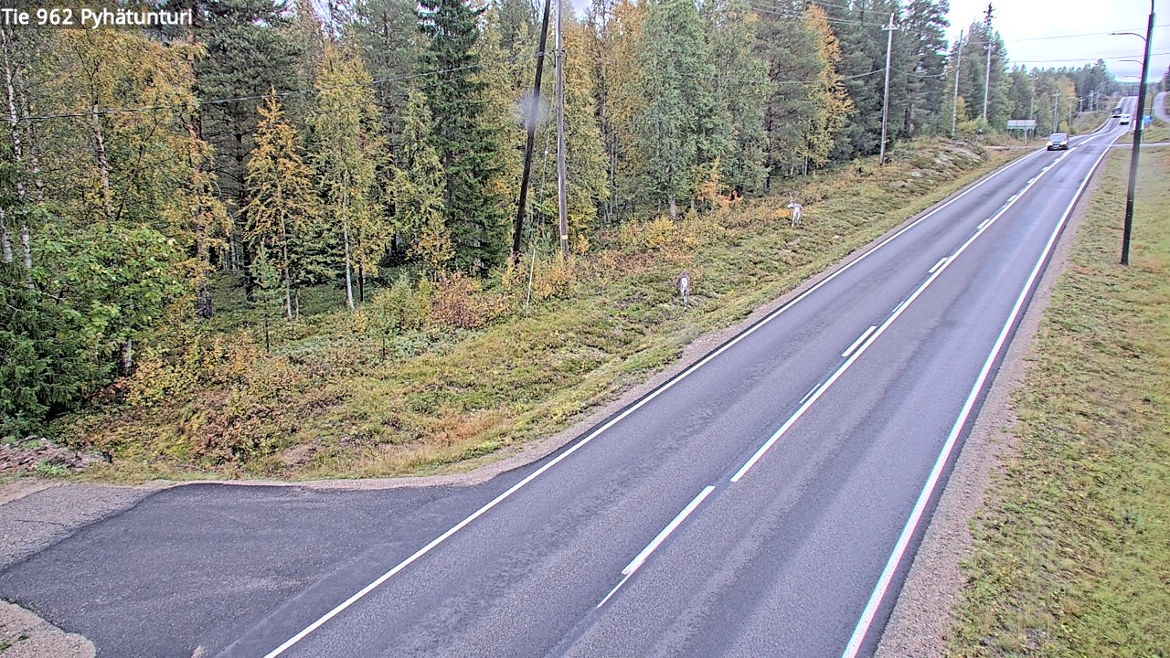 c1454601-1788339793.jpg
