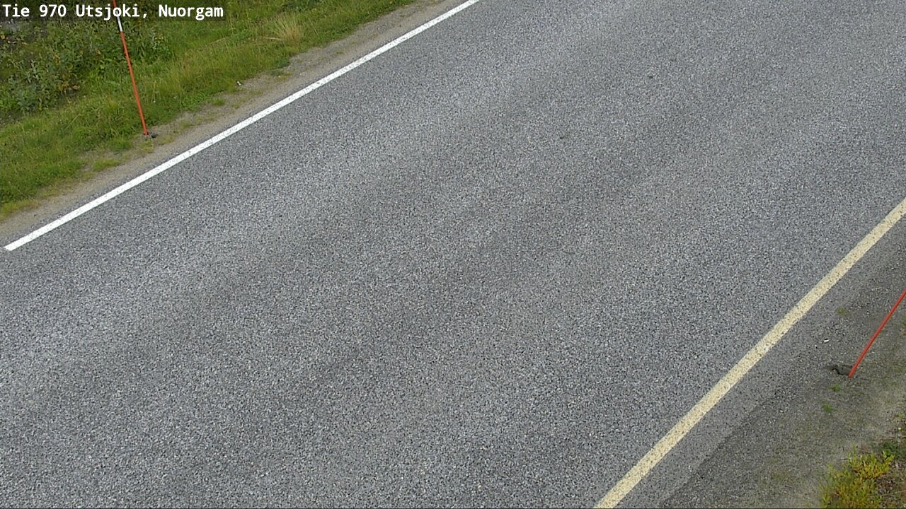 c1453309-1788354236.jpg