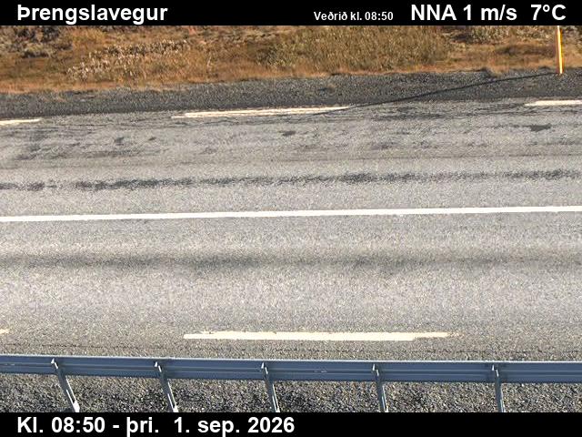 threngsli_2-1788260525.jpg