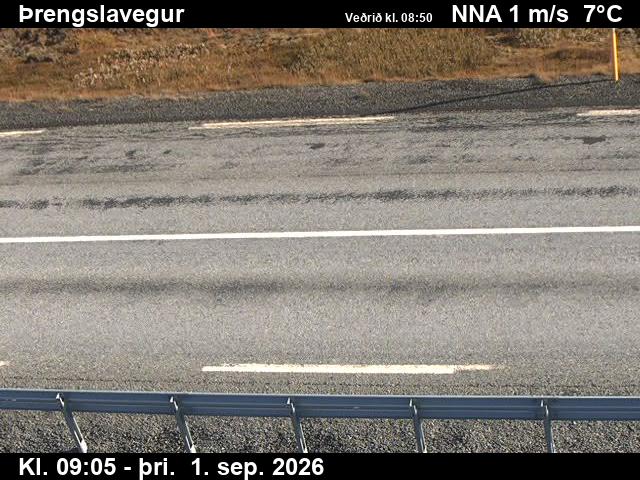 threngsli_2-1788260783.jpg