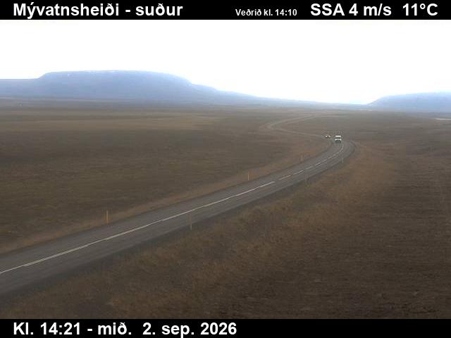 myvatnsheidi_3-1788366396.jpg