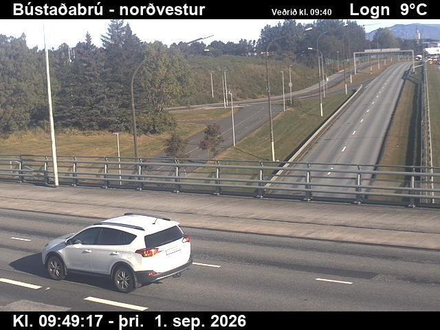 bustadabru_1-1788264160.jpg