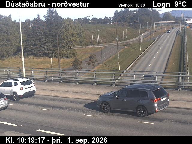 bustadabru_1-1788265590.jpg