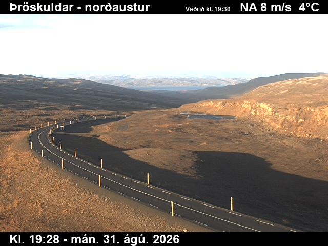 throskuldar_1-1788212292.jpg