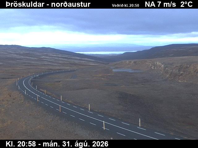 throskuldar_1-1788217301.jpg