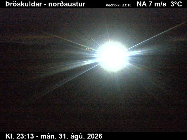 throskuldar_1-1788225964.jpg