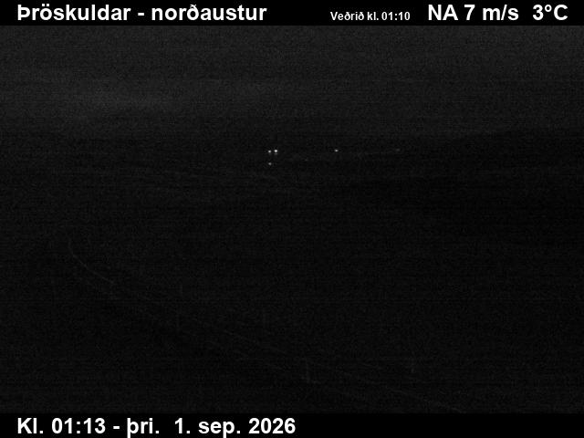 throskuldar_1-1788233166.jpg