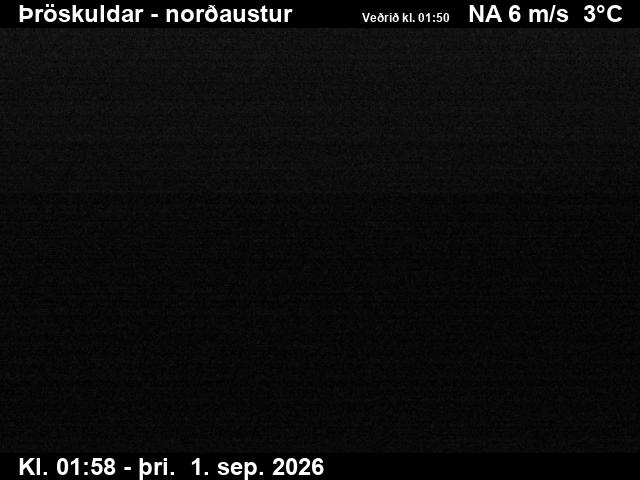 throskuldar_1-1788235380.jpg