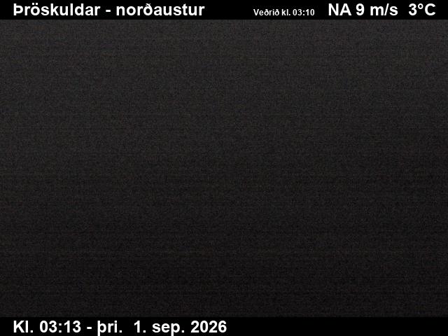 throskuldar_1-1788240338.jpg