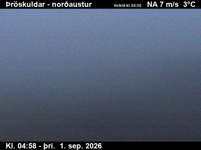 throskuldar_1-1788246098.jpg