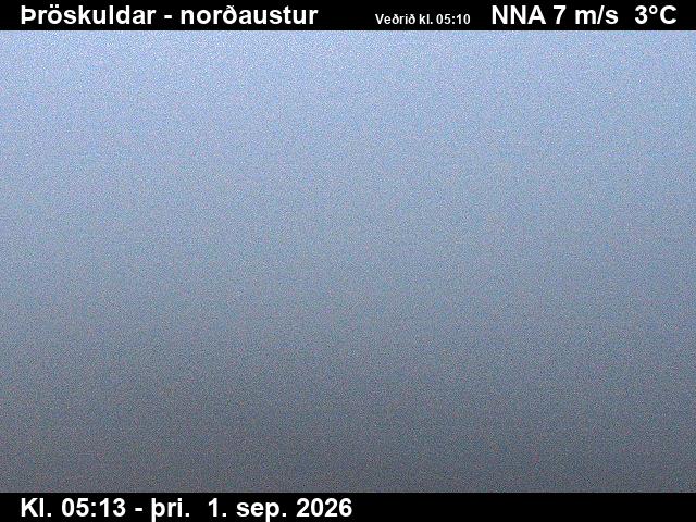 throskuldar_1-1788247546.jpg