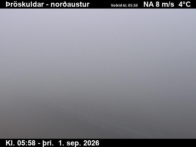 throskuldar_1-1788249701.jpg