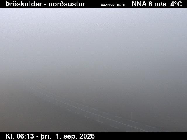 throskuldar_1-1788251159.jpg