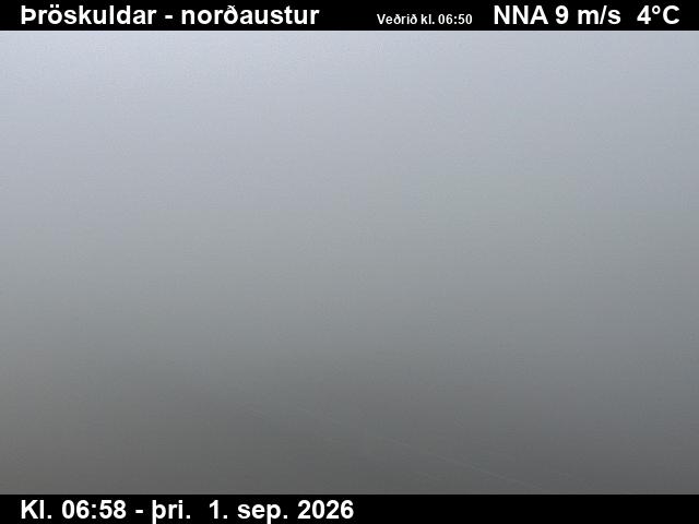 throskuldar_1-1788253286.jpg