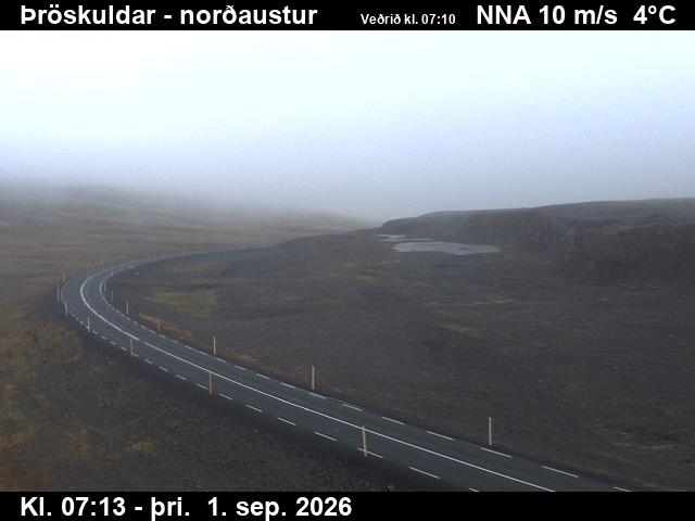 throskuldar_1-1788254775.jpg