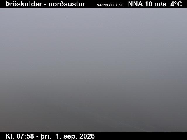 throskuldar_1-1788256923.jpg