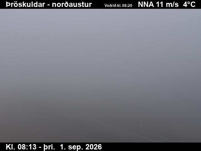 throskuldar_1-1788258538.jpg