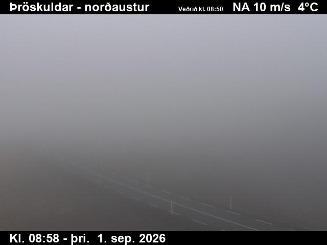 throskuldar_1-1788260608.jpg