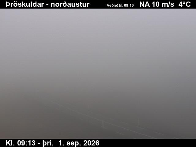 throskuldar_1-1788261941.jpg