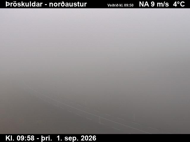 throskuldar_1-1788264133.jpg