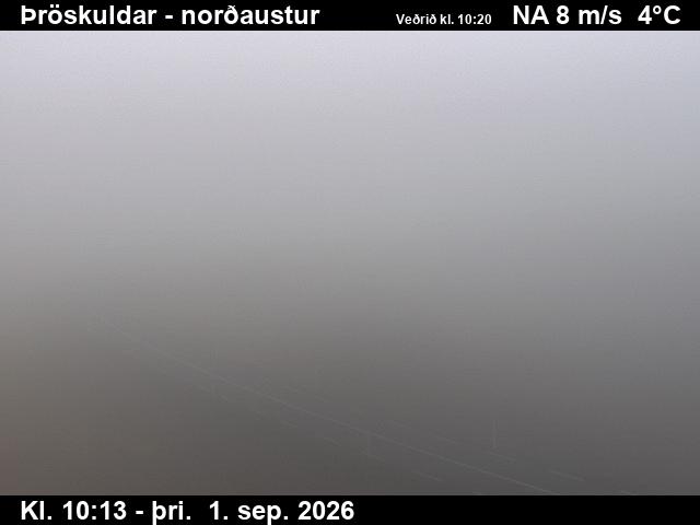 throskuldar_1-1788265588.jpg