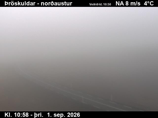 throskuldar_1-1788267713.jpg