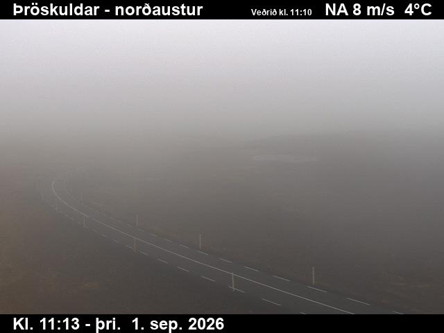 throskuldar_1-1788269132.jpg