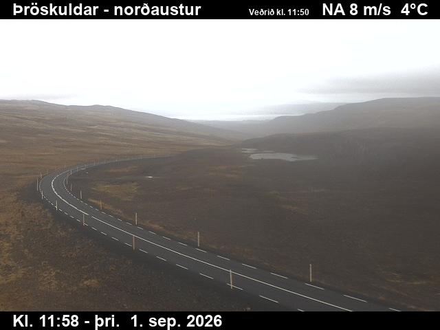 throskuldar_1-1788271257.jpg