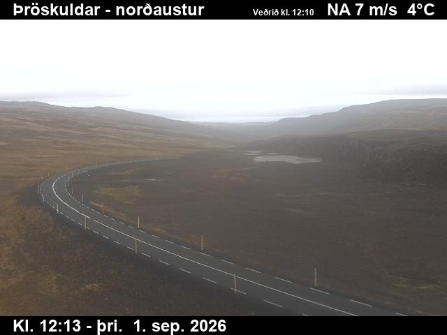 throskuldar_1-1788272780.jpg