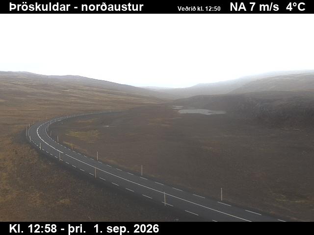 throskuldar_1-1788275144.jpg