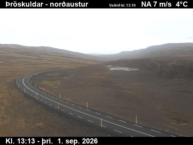 throskuldar_1-1788276353.jpg