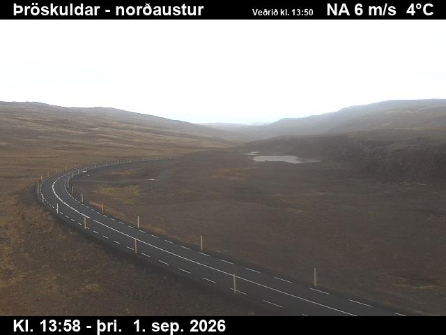 throskuldar_1-1788278749.jpg