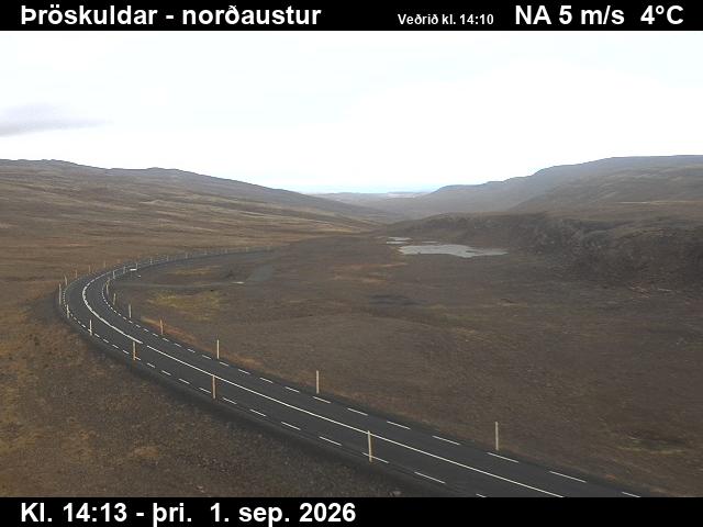 throskuldar_1-1788279978.jpg