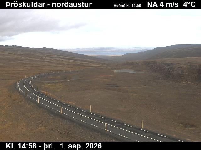 throskuldar_1-1788282123.jpg